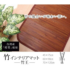 �A�Y���� ���n �ׂЂ��g�p �|�}�b�g �w�|���x ��70×120cm 1100080013201 70×120cm 64-8017-16 1�_