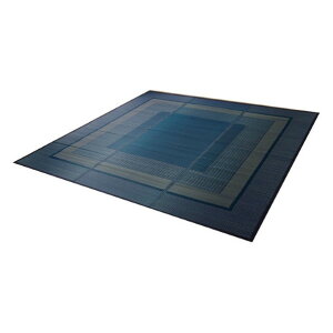 CPqRER[|[V DXNX ]ˊ4.5 lCr[ 4131604 1