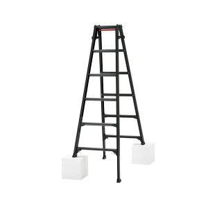 ���@�l��p�i�����J��H�� �r���L�k���p�r��(BLACK LABEL) 6�i RYZB-18a 1��