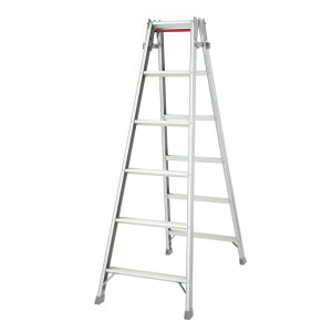 @lpiJH 3 ͂pr 3i RD-09c 1