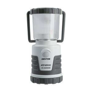 WFgX F^LEDRۉH^ EX-AG334D 1_