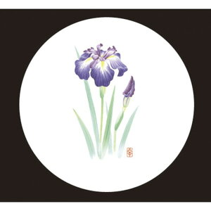 A[ebN aR[X^[   WCO-M4N 50