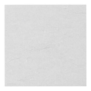 A[ebN ԍRۘa a_~ (4) WK-4N 250