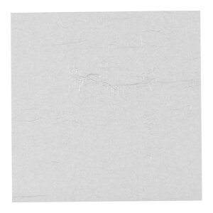 A[ebN ԍRۘa a_~ (5) WK-5N 250