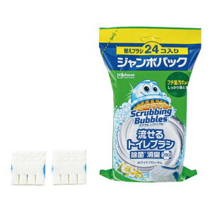 W\ gCuV ۏLvX ƒp 24