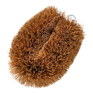 T̎qq c(1P) 1 JTW292 1