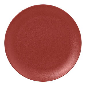 bN|[Z lIt[W tbgv[g DR 21cm RA21001NFDR 1