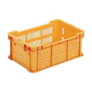 TR[ Tei[B21IW 313 x 484 x 170 mm SKB21OR 1PC