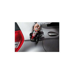 LIQUI MOLYiLj X[p[fB[[ AfBeBu 250ML 20868 1