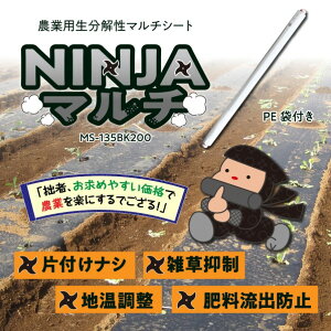 𐫃}`V[g NINJA}` ubN MS-135BK200 1{