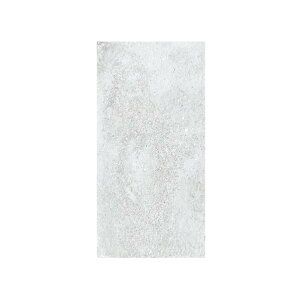 I[Nu Zg[ CEMENTRI 600×300p J[1 NH2-CR603-1 8