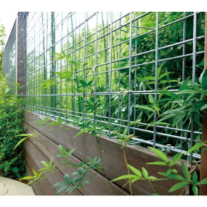 �I�����[�����N���u �K�r�I�� �O���[���E�H�[�����j�b�g ���ʎd�l 1910×900×85 SR2-GGWU02 1��