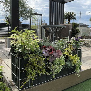 �I�����[�����N���u �K�r�I�� �v�����^�[ 300×900×300 SR2-GPU 1��