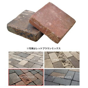 I[Nu AeB[NubNX Xvbh  bhuE~bNX EG2-ABS01R 1