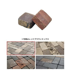 �I�����[�����N���u �A���e�B�[�N�u���b�N�X �X�v���b�h ���}�X �`���R�[���O���[�~�b�N�X EG2-ABS03C 1��