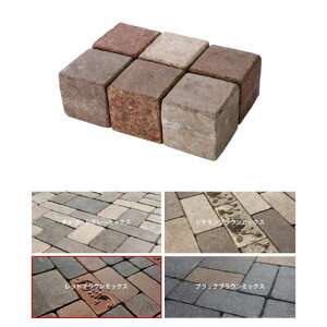 I[Nu AeB[NubNX sR bhuE~bNX EG2-ABS08R 1