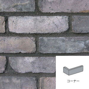 I[Nu KIWAMI × R[i[ AJ2-080-CO 1