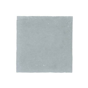 �I�����[�����N���u �C���f�B�A�u���[ 560×560 SR2-S01 1��