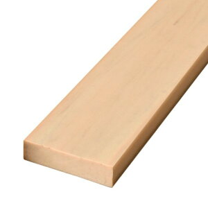 I[Nu EbfB REP {[h  20×100×3000 qmL CM2-RB20100H 1