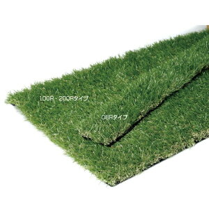 �I�����[�����N���u �I�����[�����l�H�� permeability 100R KV2-KJMZ3 1��