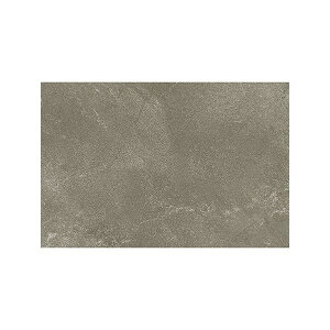 ���� ���C�����X�g�[�� 300mm×450mm �t�H�O���C�� PST4080 20��