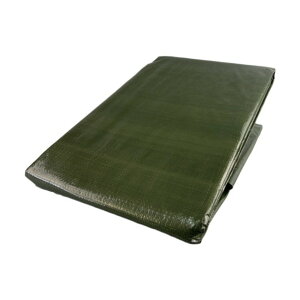 ^JCN #3000 ODO[V[g 2.7mx2.7m OGS-04 1