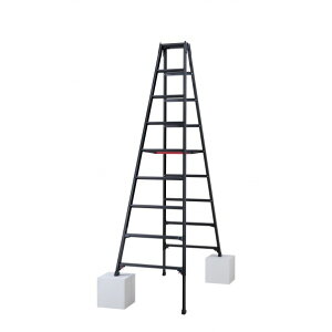 @lpiJH rLkpr(BLACK LABEL) 9i RYZB-27a 1