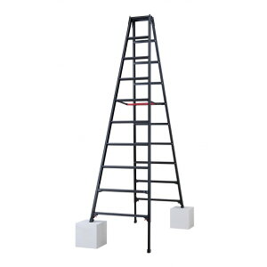 @lpiJH rLkpr(BLACK LABEL) 10i RYZB-30a 1