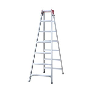 @lpiJH 7 ͂pr 7i RS-21c 1