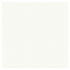 BIGACE ǎ rbOG[X vWFN^[pNX 92.5cm BA7204 1m