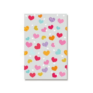 HEIKO o^COPP NX^pbN n[gXgO SS 0D03×120×200mm 006969161 50