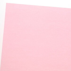 HEIKO PC�J���[���t�� ���� 50�� A16 �s���N 788×545mm 002111810 50��