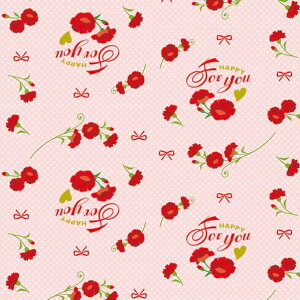 HEIKO Mtg  nbs[J[l 750×528mm 002441000 50