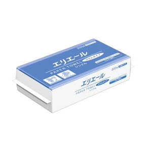 剤 GG[y[p[^I X^Cv  V[g@:230×210mm 004711475 200