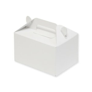 SWAN P[L  2`3p O:105×150×90{40mm 004259914 25