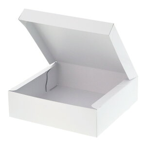 VW} P[L PC-J[65 6 zCg :W221×D221×H65mm 004260105 10