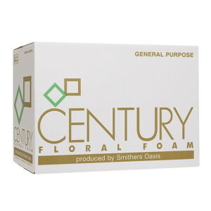 X~U[YDIAVXDWp IAVX t[tH[ zȂ Z`[ ubN@:23×11×7D8cm 008701427 48