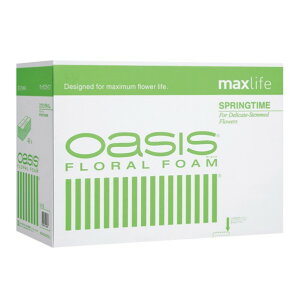 X~U[YDIAVXDWp IAVX t[tH[ }bNXCt XvO^C ubN@:23×11×7D8cm 008701430 48