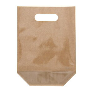 H 蔲K[bg vX X^hpbN 40-2 200×270mm/}`100mm/牺̍220mm 006656086 100