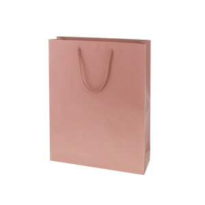 HEIKO ��񂰎��� �J���[�`���[���o�b�O 2�� �A�Y�L ��330×�}�`100×��450mm 005310119 10��