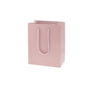 HEIKO 񂰎 J[`[obO 20-12 sN 200×}`120×250mm 005330116 10