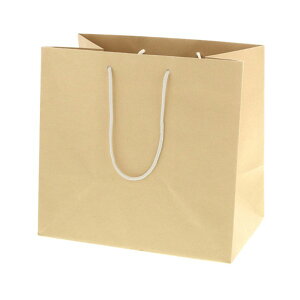 HEIKO ��񂰎��� �o���u�[�y�[�p�[�o�b�O 32-20 ��320×�}�`200×��300mm 005381004 10��