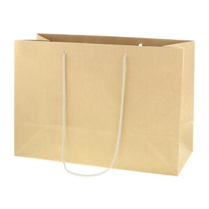 HEIKO ��񂰎��� �o���u�[�y�[�p�[�o�b�O 43-18 ��430×�}�`180×��300mm 005381006 10��