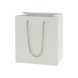 HEIKO 񂰎 lC`[obO 22-14 220×}`140×240mm 005382001 10