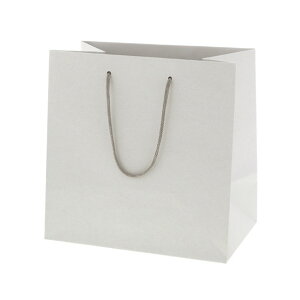 HEIKO 񂰎 lC`[obO 27-17 270×}`170×270mm 005382002 10