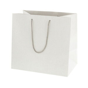 HEIKO 񂰎 lC`[obO 32-20 320×}`200×300mm 005382004 10