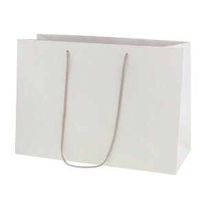 HEIKO 񂰎 lC`[obO 43-18 430×}`180×300mm 005382006 10