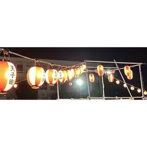 showa �Ղ�p�񓔃R�[�h 13m �� SPS-12-10 1�{