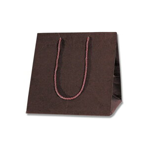 �V���W�} HEIKO ��񂰎��� �J���[�A�����W�o�b�O S 10�� 285×�}�`280×300mm �Œ� 006441031 10��