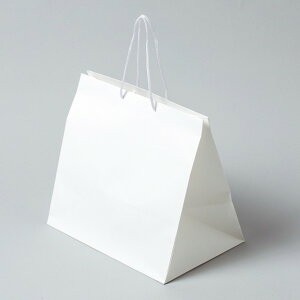 VW} HEIKO 񂰎 AWobO L 10 440×}`295×420mm n 006441100 10